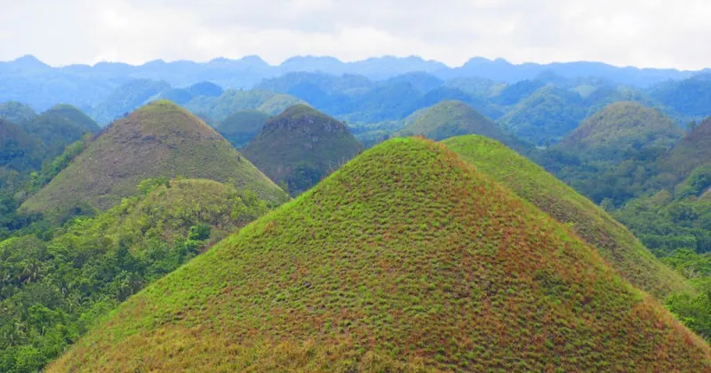 Bohol countryside tour