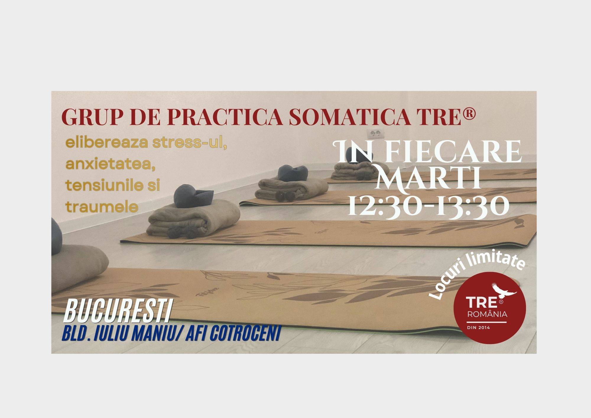 Grup saptamanal de practica TRE®